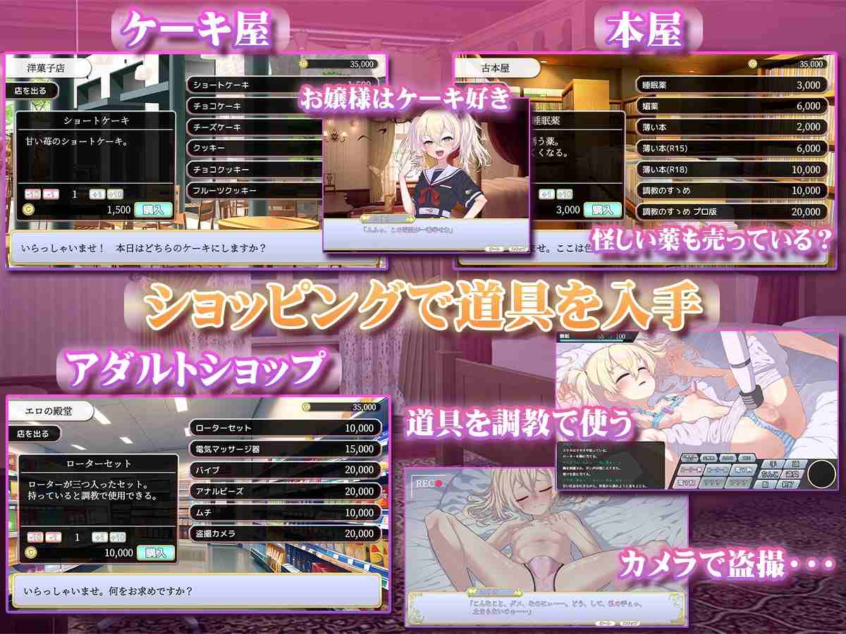 【SLG/PC/AI汉化文件/金发萝莉/调教】このお嬢様、無知につき-第2张图片-萌站