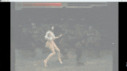 【神作/老物/ACT/全动态/互动】雯雅婷 PoorSakura fight 经典老作 绝版重现-第4张图片-萌站