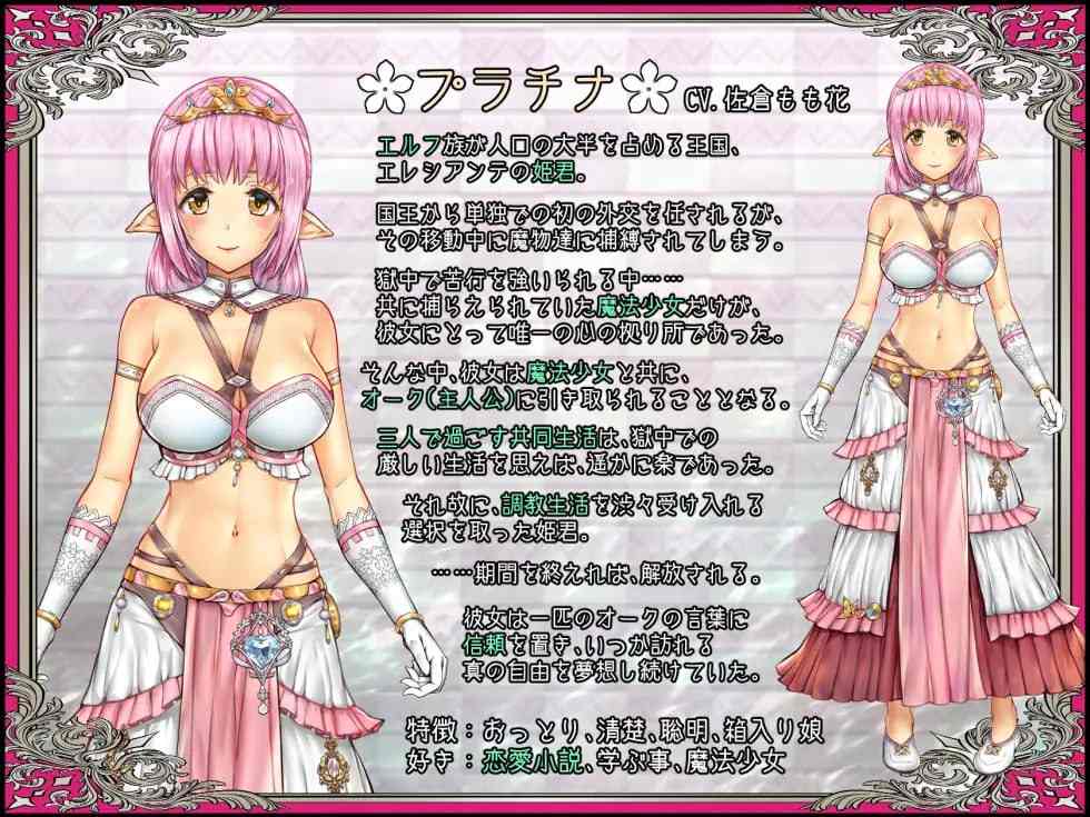 少女異種間獄 ～魔法少女&エルフ姫、オークと過ごす異世界性活～ AI汉化版【2024年12月19日 发售】-第2张图片-萌站