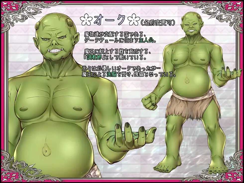 少女異種間獄 ～魔法少女&エルフ姫、オークと過ごす異世界性活～ AI汉化版【2024年12月19日 发售】-第3张图片-萌站