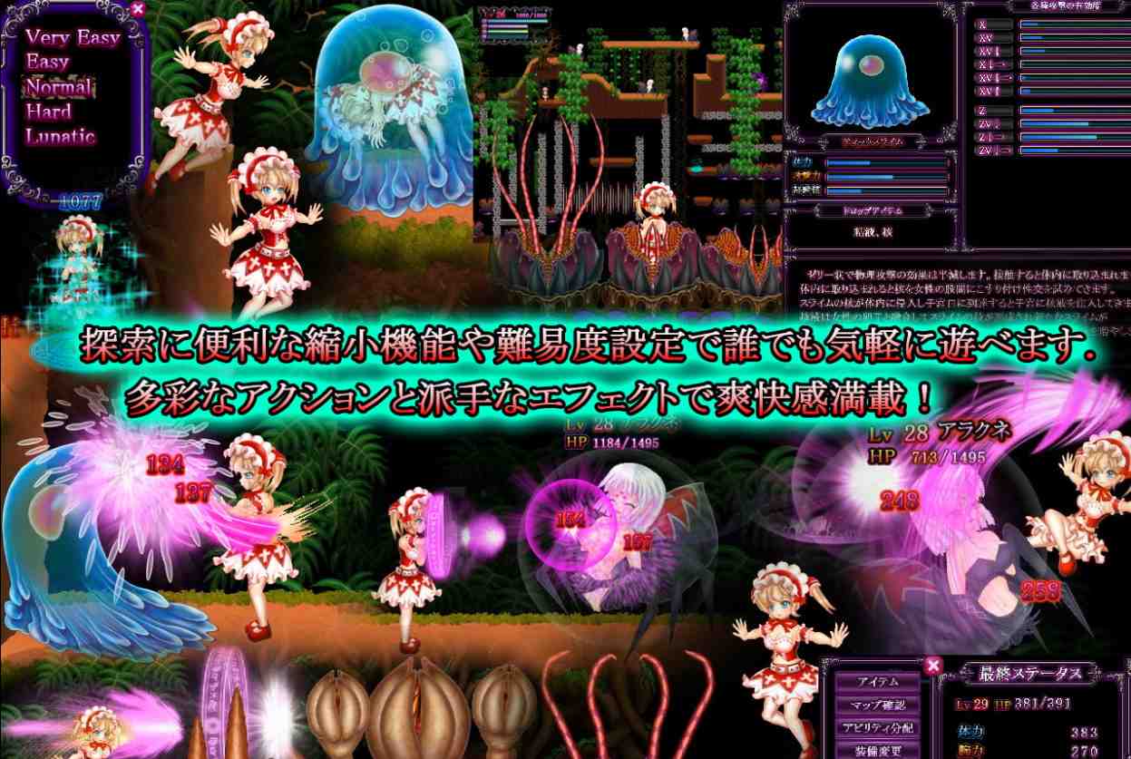  【ACT/PC/战斗H/重口猎奇/怀孕妊娠/生产/触手/6G】[エロフラッシュの匠] 爱丽丝与魔王巢穴的迷宫 -第2张图片-萌站