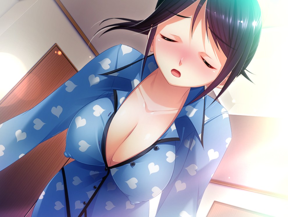 【PC/生肉/怀孕/伪后宫】あねlもNeo Second Sisters-第2张图片-萌站