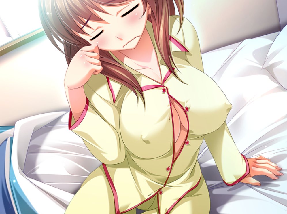 【PC/生肉/怀孕/伪后宫】あねlもNeo Second Sisters-第4张图片-萌站