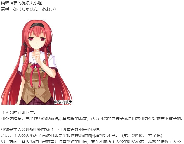 【ADV/汉化/PC/伪娘慎入】女装学園（妊）-第2张图片-萌站