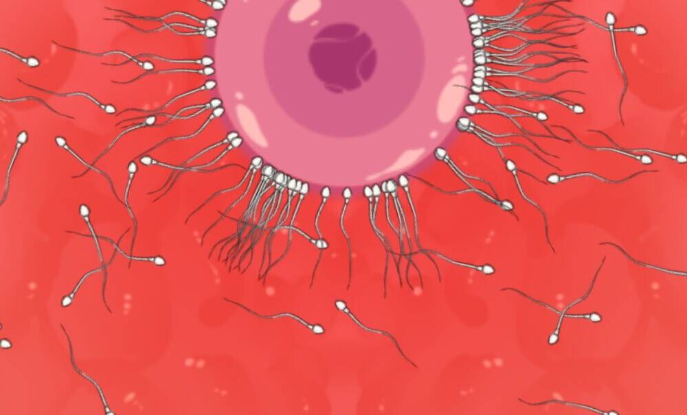 【ACT/生肉/PC】聖騎士アルネと魔孕の呪印～Another No Tears～-第3张图片-萌站