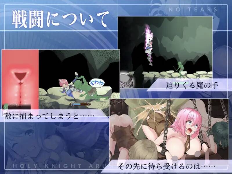 【ACT/生肉/PC】聖騎士アルネと魔孕の呪印～Another No Tears～-第6张图片-萌站