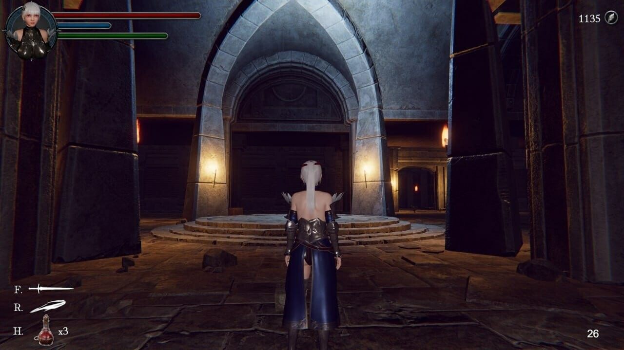 [动作ACT/全动态/官中] 地下城的女骑士 地下城の女騎士 v25.01.23 官方中文步兵版 -第6张图片-萌站