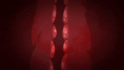 【动画/巨乳/乳交/口交/中出/后入/乘骑/爆操】[ばにぃうぉ～か～]OVAメガネnoメガミ ＃1-2-第4张图片-萌站