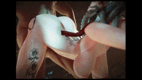 【3D/Aznyan07/纯啪】2.26日更新：壁尻兽耳娘中出授精+往期兽耳娘/艾莲乔 5部-第5张图片-萌站