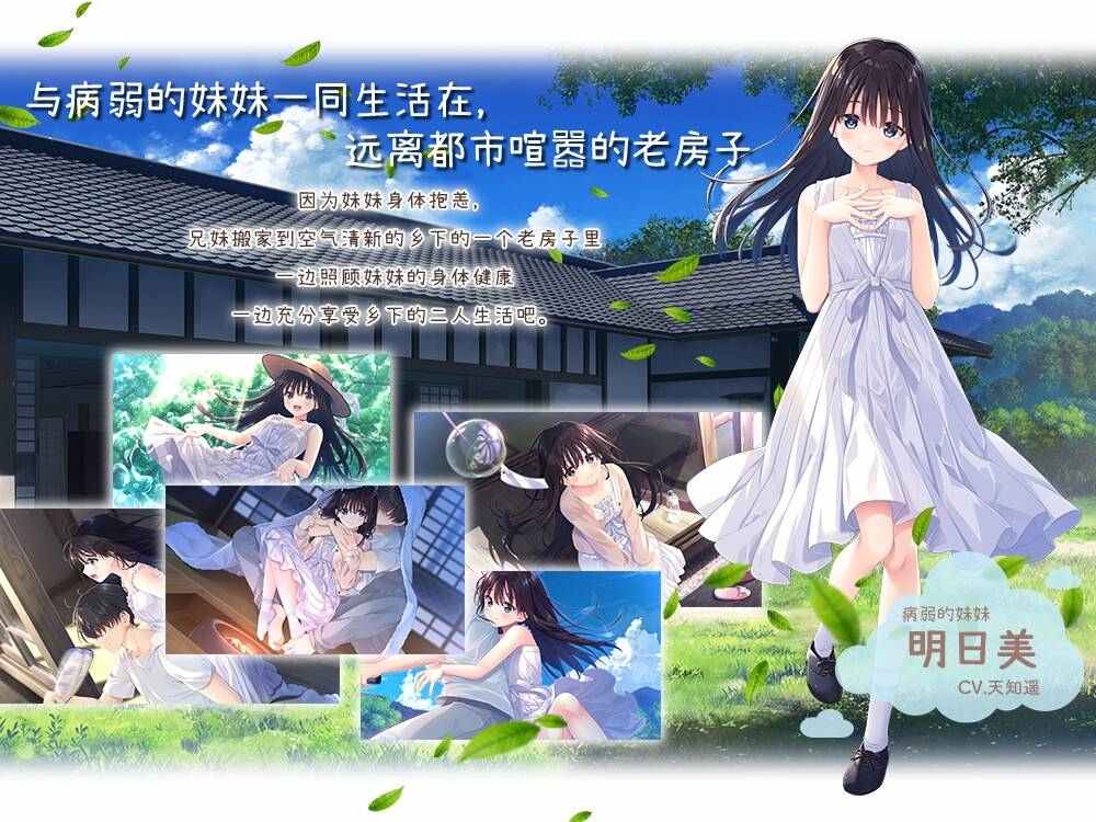 【hailou】【SLG/官中/PC】沉溺于炽热爱情的乡间隐居的兄长与，充满古典韵味的病弱妹妹 体验版 -第1张图片-萌站