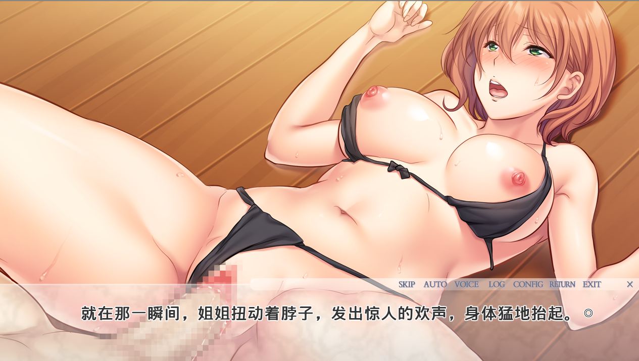 【PC端】堕落的义姐 ~我一直仰慕着的义姐被同班同学调教【ADV】【1.2GB】【简体中文】-第1张图片-萌站