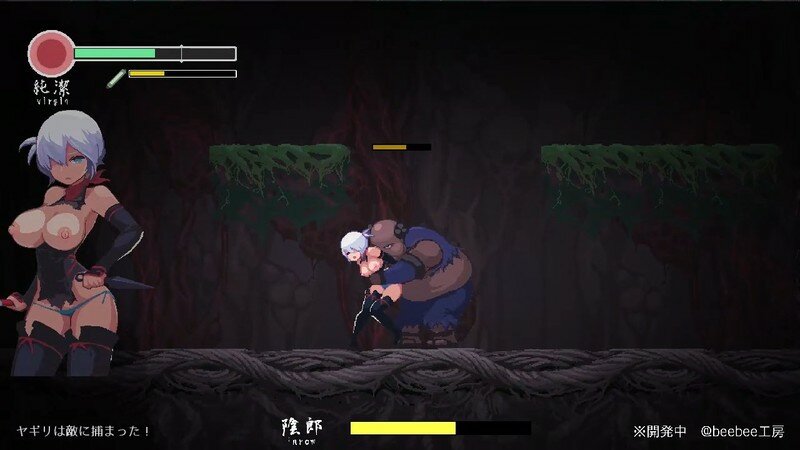 【ACT/PC/女忍/触手/异种X/战斗H/像素 /】复仇的夜雾 / 復讐の夜霧 v0.31-第1张图片-萌站