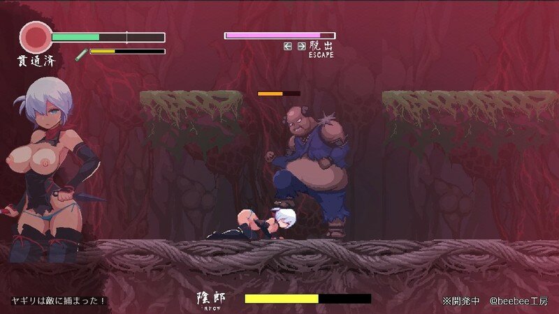 【ACT/PC/女忍/触手/异种X/战斗H/像素 /】复仇的夜雾 / 復讐の夜霧 v0.31-第3张图片-萌站