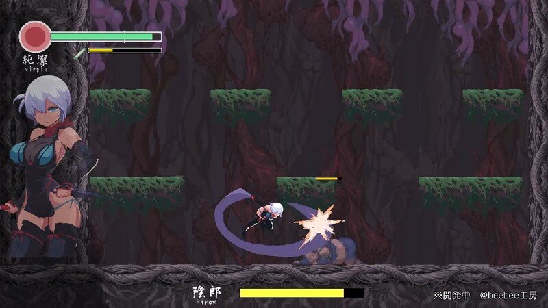 【ACT/PC/女忍/触手/异种X/战斗H/像素 /】复仇的夜雾 / 復讐の夜霧 v0.31-第4张图片-萌站