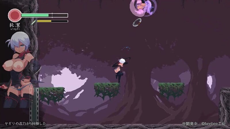 【动作ACT/像素动态/生肉/更新/PC】忍者的冒险 復讐の夜霧 v0.31 日文生肉版【300M/更新】 -第4张图片-萌站 【动作ACT/像素动态/生肉/更新/PC】忍者的冒险 復讐の夜霧 v0.31 日文生肉版【300M/更新】 -第4张图片-萌站