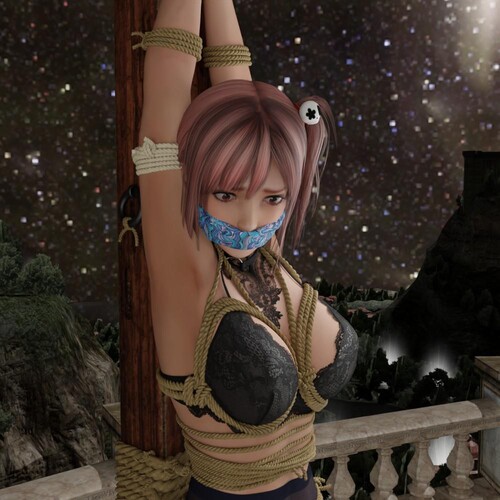 DOA自由游戏01-05(完)+危机01-02(完)+偷心大盗01-02(完)-第7张图片-萌站