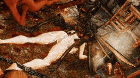 【巨乳 虫交 后入 爆操 爆射 中出】新作-Insect Seedbed-第5张图片-萌站 【巨乳 虫交 后入 爆操 爆射 中出】新作-Insect Seedbed-第5张图片-萌站