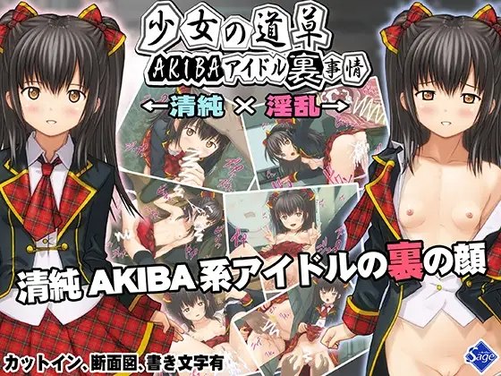 【ADV/PC/AI汉化/偶像/强X/卖春/】 少女的闲逛~秋叶原偶像内幕 少女の道草~AKIBAアイドル裏事情 -闇堕ちアイドル裏営業- ~ -第1张图片-萌站 【ADV/PC/AI汉化/偶像/强X/卖春/】 少女的闲逛~秋叶原偶像内幕 少女の道草~AKIBAアイドル裏事情 -闇堕ちアイドル裏営業- ~ -第1张图片-萌站
