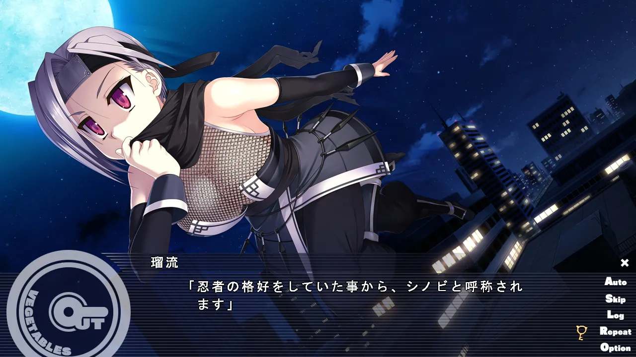 【PC端/大型SLG/卡牌/触摸】怪盗夜祭【共3.2GB】【附带全CG存档】【精翻汉化】-第4张图片-萌站