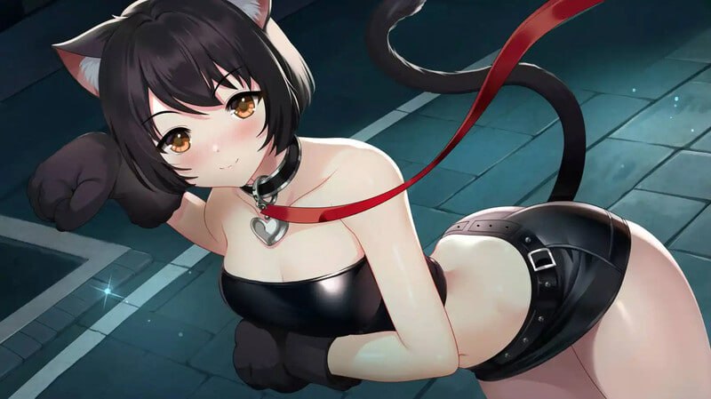 萌站汉化版PC+安卓/.SLG/#我的心越来越亲近   #My Heart Grows Fonder v1.20 汉化版/双端-第3张图片-萌站