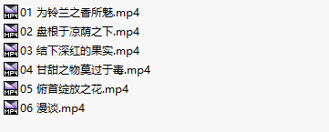 【ASMR/汉化音声/2小时/共5GB】颓废之茧～【简体中文版】#逢坂成美-第3张图片-萌站