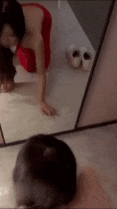 【某某门事件】天津大学校花 emlly 明明是金主爸爸的性奴母狗 还死不承认-第6张图片-萌站