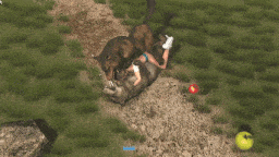 【欧美/ACT/无码/全动态】Jungle Penetration：穿越丛林 人兽斗争 兽交/变态/重口味-第8张图片-萌站