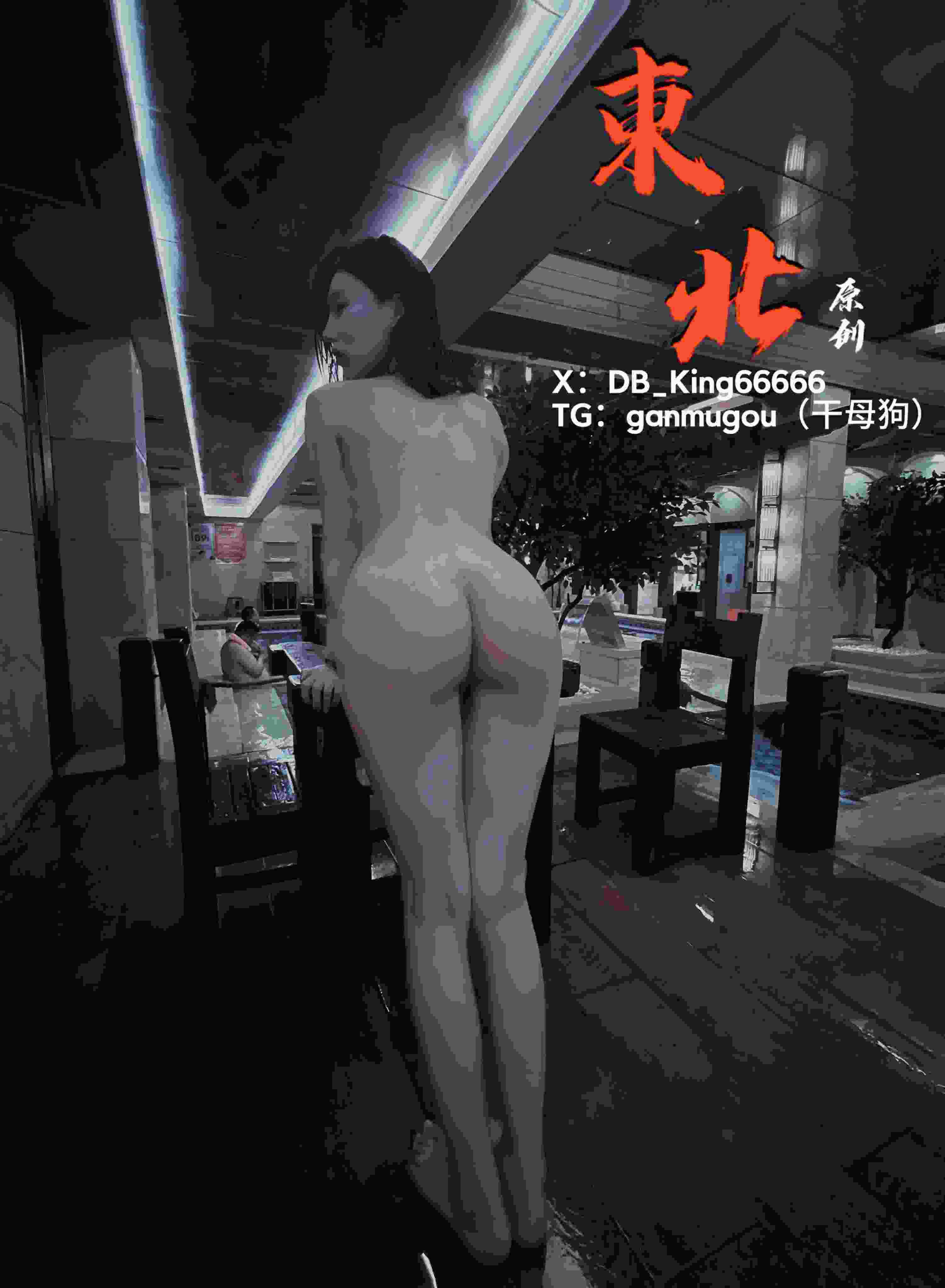 东北母狗玩露出-第2张图片-萌站