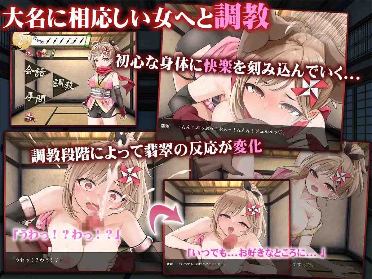 【SLG/PC/896MB百度】壶之笼～被囚禁的女忍者的献上记录～ 原名:蜜壺の檻～囚われくのいちの献上録～-第3张图片-萌站