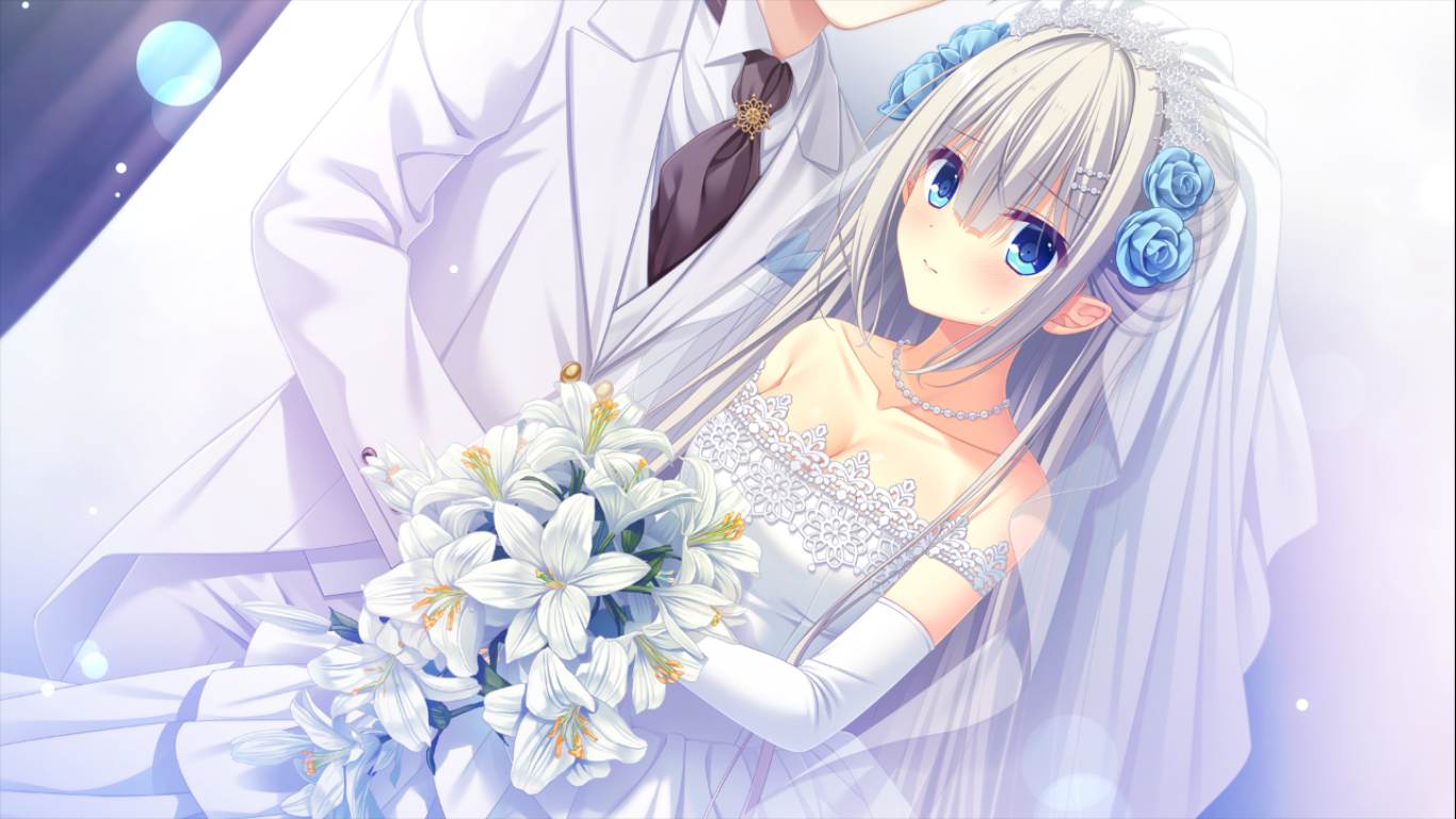 【ADV/AI汉化/PC】D.C.5 Plus Happiness（初音岛5）-第27张图片-萌站