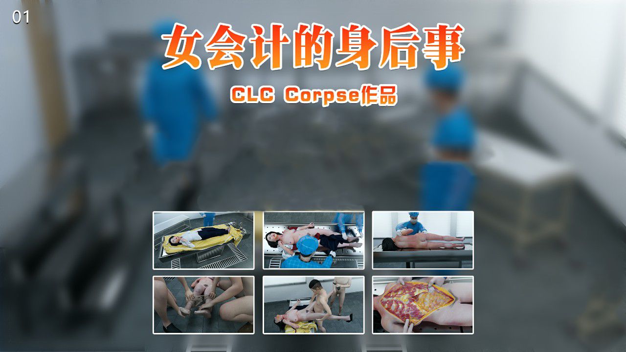 女会计的身后事-第5张图片-萌站