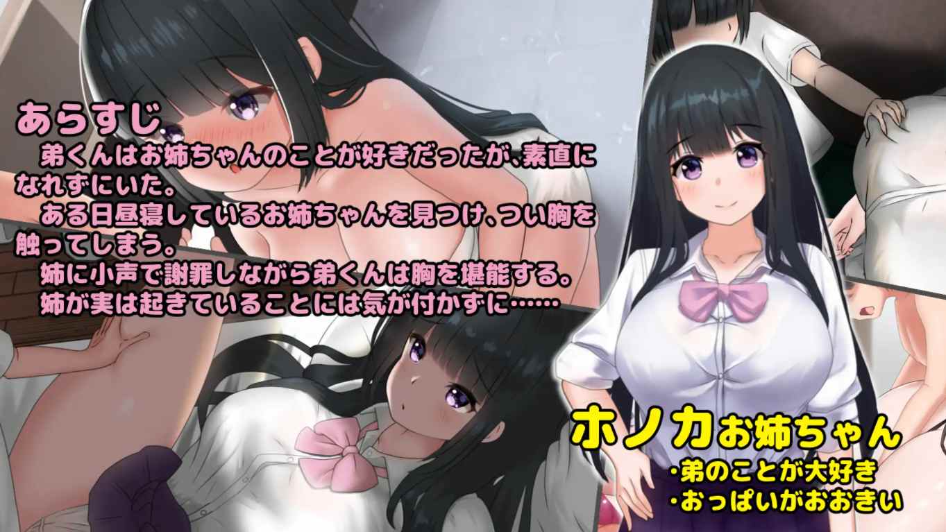 [PC游戏][希望被弟袭击的姐姐 LIVE2D Ver1.04 步兵完全版+存档][更新/互动触摸SLG/动态CV/1.3G]