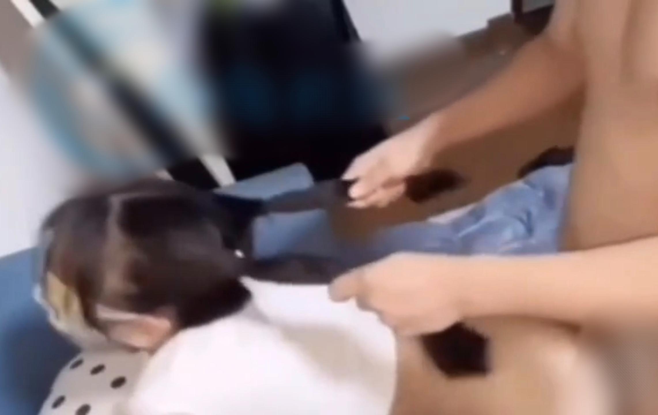 海角和妹妹的真实性交-第5张图片-萌站