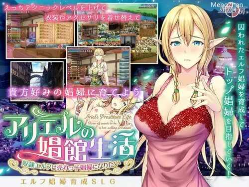 PC/【经营SLG/卖春援交/妖精】艾莉尔的风月人生(アリエルの娼館生活)V1.02-(STEAM官中+DLC)-第1张图片-萌站 PC/【经营SLG/卖春援交/妖精】艾莉尔的风月人生(アリエルの娼館生活)V1.02-(STEAM官中+DLC)-第1张图片-萌站